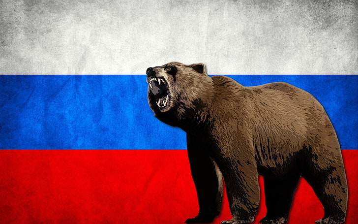 bears flag russia russian, mammal, one animal, no people, wall - building feature