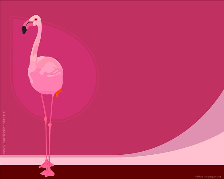 HD wallpaper: flamingo | Wallpaper Flare
