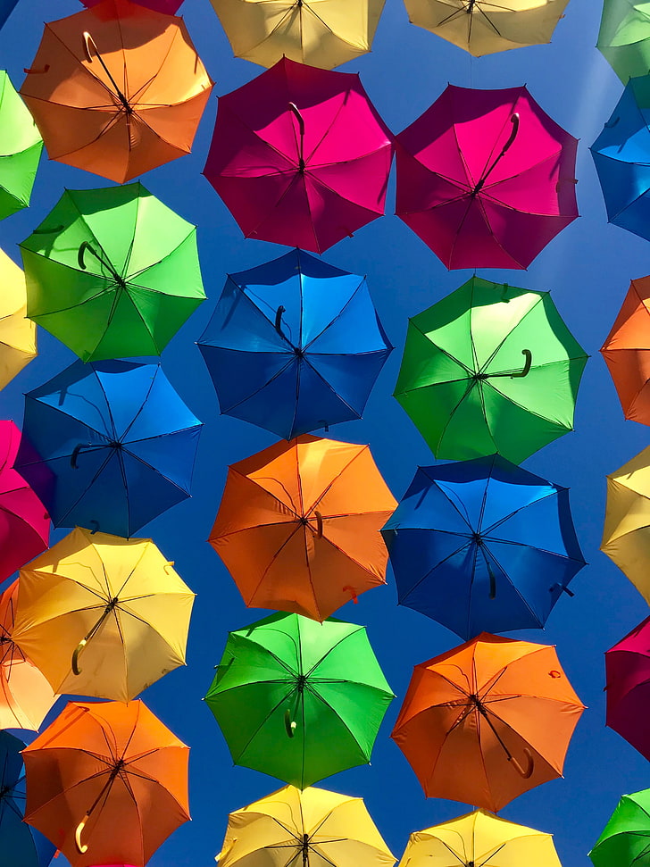 assorted-color umbrella lot, umbrellas, colorful, sky, sunny