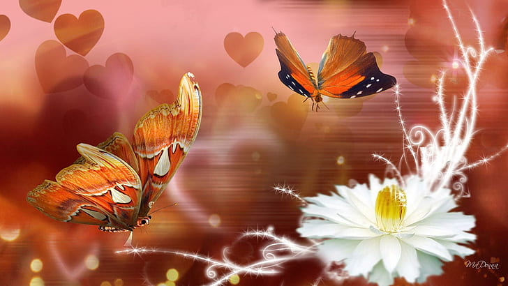 HD wallpaper: Description Of Beauty, fleur, fall, nature, papillon ...