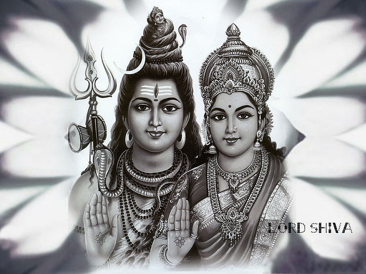 HD wallpaper: Mahadev And Parvati, Krishna and Raddha illustration, God,  Lord Shiva | Wallpaper Flare