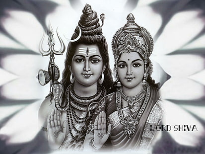 HD wallpaper: Shiva Lingam Puja, Om Namah Shivaya illustration, God, Lord  Shiva | Wallpaper Flare