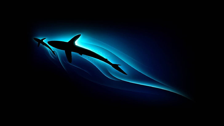 HD wallpaper: blue, silhouette, graphics, shark, darkness, animal themes |  Wallpaper Flare