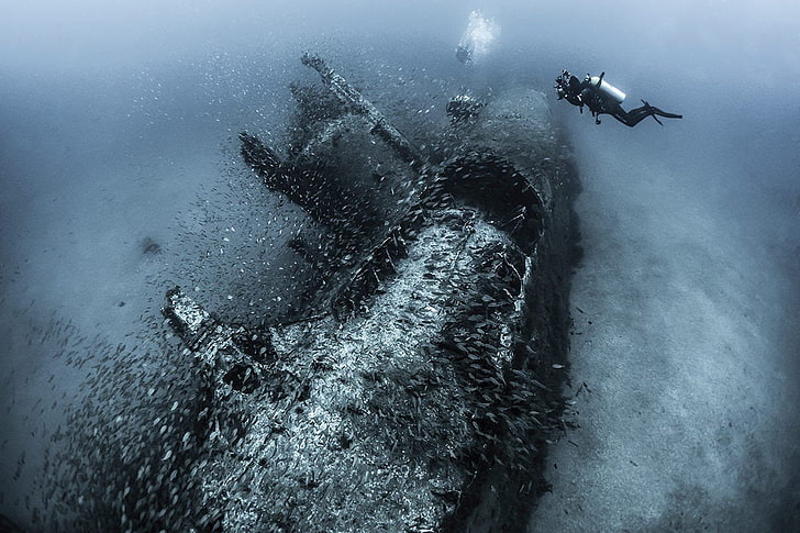 1200x800 px Deep Sea Divers fish sea Shoal Of Fish submarine Tanya Houppermans underwater Wreck Video Games Zelda HD Art