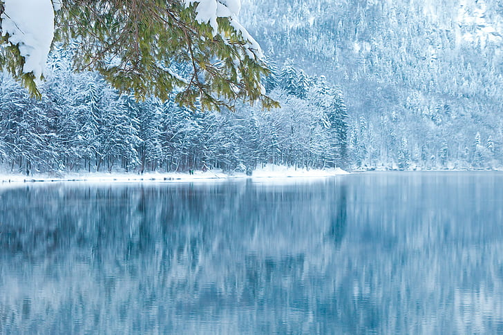 snow covered trees in front of body of water, Peace, reflection