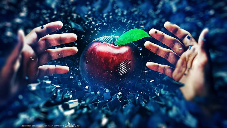 Adam Spizak, Apples, digital art, hand, human hand, fruit, human body part, HD wallpaper