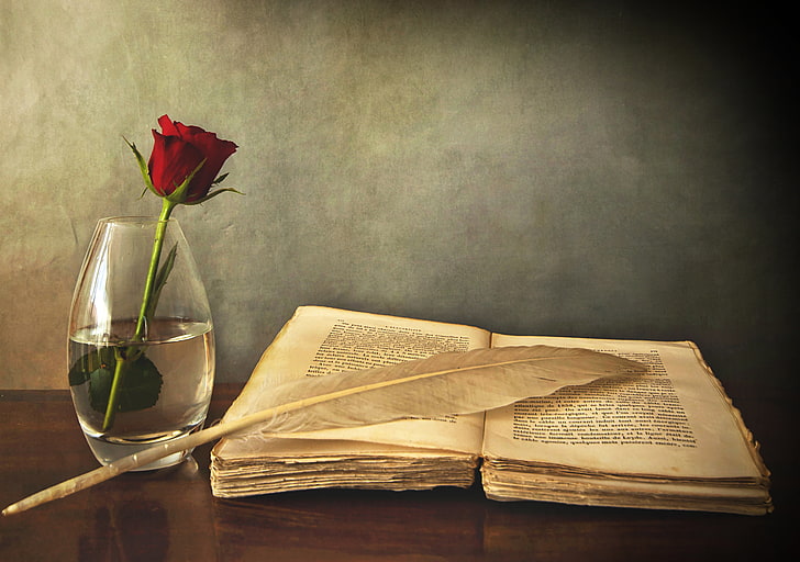 red rose; clear glass vase; book; white feather, old, pen, table