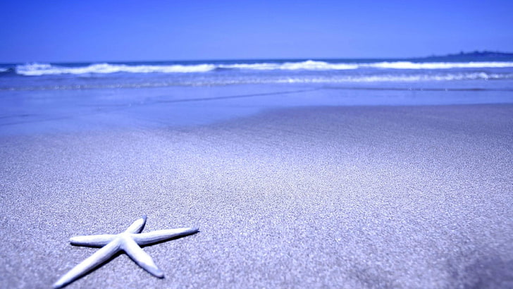 water, holiday, summer, bluish, vacation, sand, coast, beach
