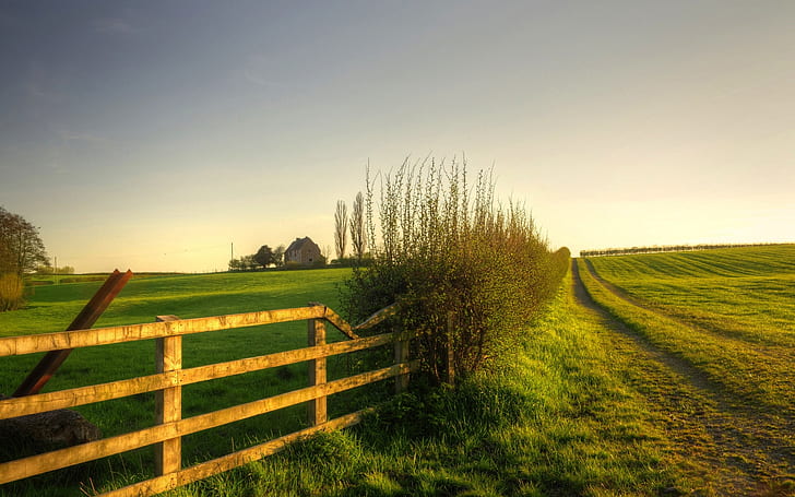 Nature scenery, green, meadow, grass, fence, HD wallpaper