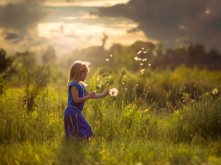 Small girl in summer field, Sun, HD wallpaper