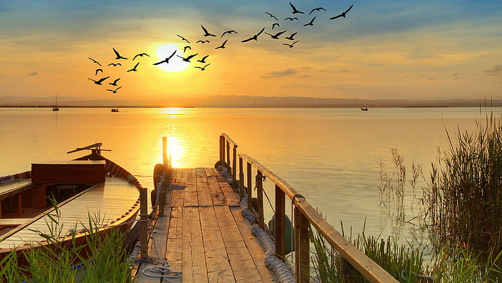 lake, stunning, amazing, boat, reeds, reflection, nature, birds, HD wallpaper
