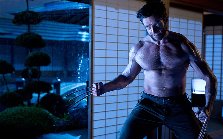 The Wolverine 2 Hugh Jackman, movies, HD wallpaper