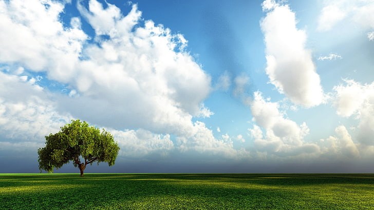 landscape, nature, clouds, trees, sky, field, plant, cloud - sky, HD wallpaper