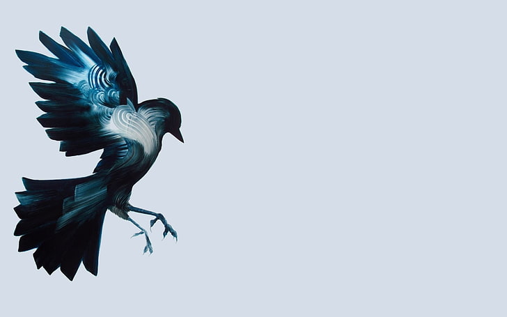 HD wallpaper: vector illustration of blue and white bird, birds, artwork, simple  background | Wallpaper Flare