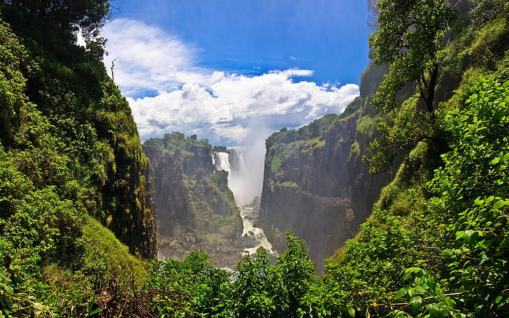 Victoria Falls, green leaf plant, waterfalls, zambezi river, zambia, HD wallpaper