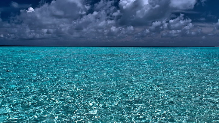 blue and white floral area rug, sea, water, sky, cloud - sky, HD wallpaper