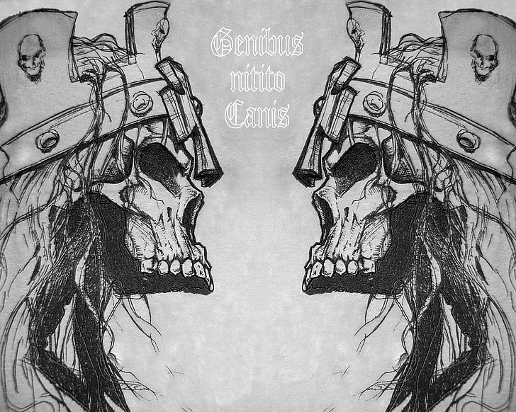 Genibus nitito canis sketch, skull, monochrome, fantasy art, text, HD wallpaper