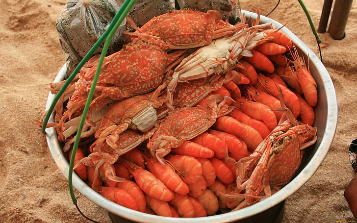 cooked sea foods, shrimp, lots of, seafood, freshness, market