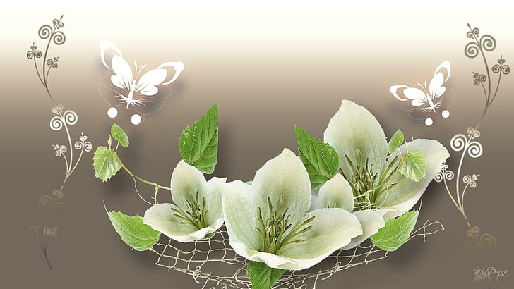 Flowers Of White, firefox persona, beige, gradient, butterflies, HD wallpaper