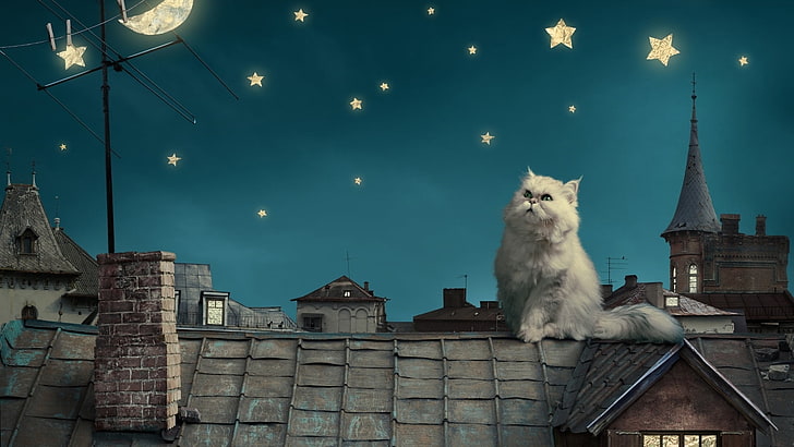 cat, roof, moon, stars, cartoon, illustration, sky, night, fairy tale, HD wallpaper