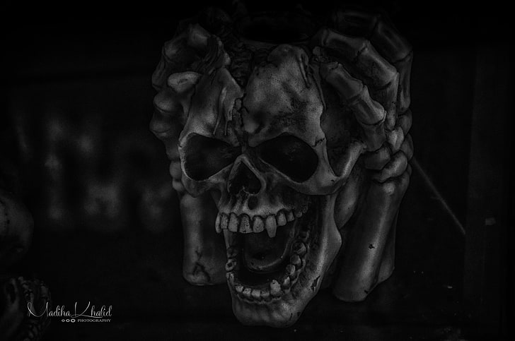 Madiha Khalid, 500px, skull, dark, monochrome, HD wallpaper