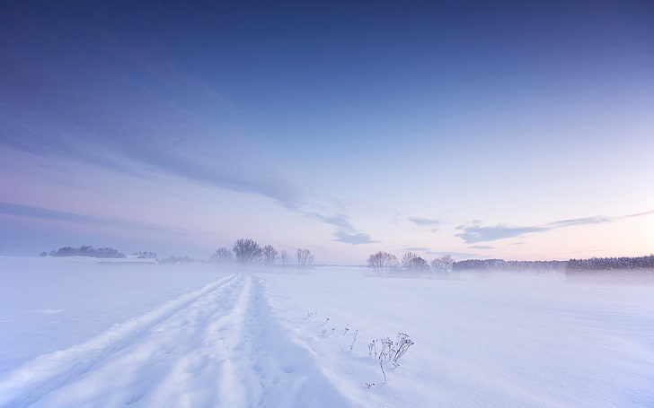white snowfield, winter, nature, cold - Temperature, landscape, HD wallpaper