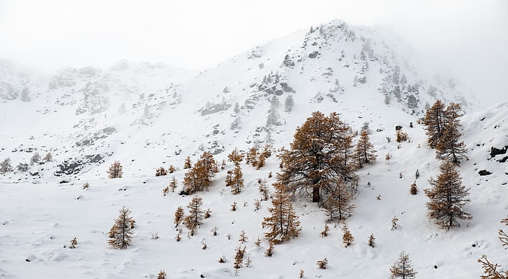 Vallee de la Claree, French Alps, Winter, Seasons, Landscape, HD wallpaper
