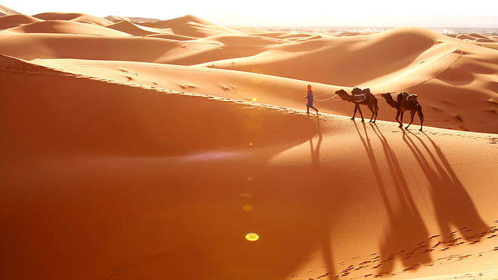 Rub ‘al Khali Desert And Asia Desert Space Between Oman I Saudi Arabia Bedouin Camels Walking Down Desert, HD wallpaper