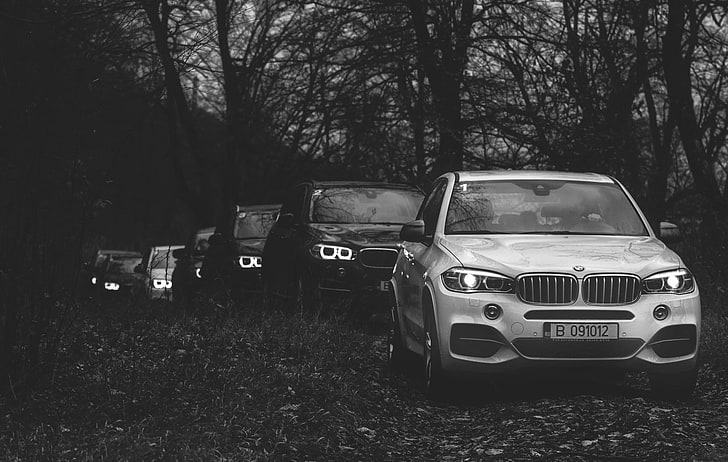white BMW X-Series, motor vehicle, car, tree, mode of transportation, HD wallpaper