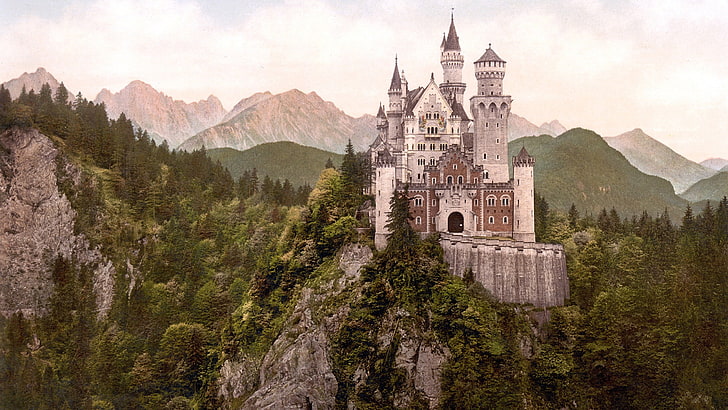 white and brown castle, city, Neuschwanstien, Germany, landscape, HD wallpaper