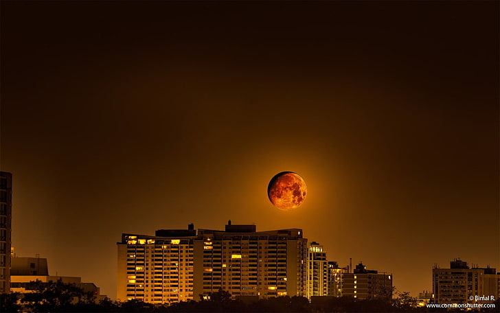 lunar eclipse, Moon, cityscape, sky, orange, dark, night, building exterior, HD wallpaper