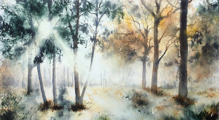 Artistic, Watercolor, Forest, Nature, Sunbeam, Tree, HD wallpaper