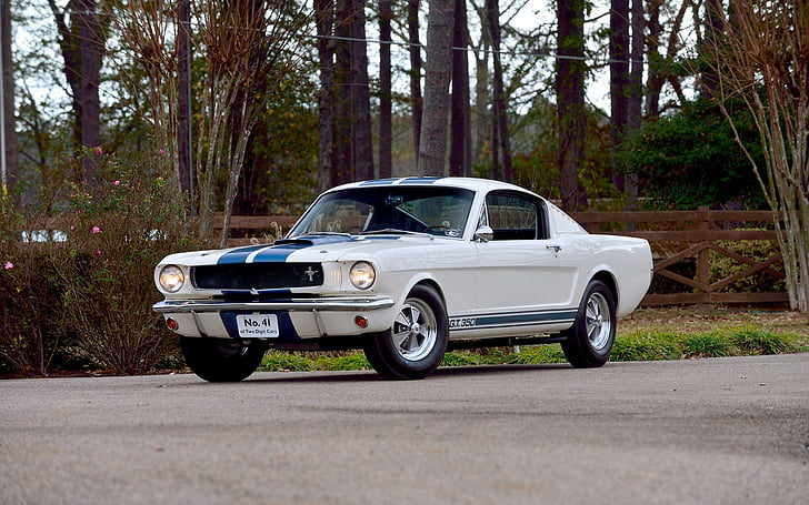 Hd Wallpaper Ford Shelby Mustang Gt 350 Car Fastback Muscle Car Shelby Mustang Gt350 Wallpaper Flare