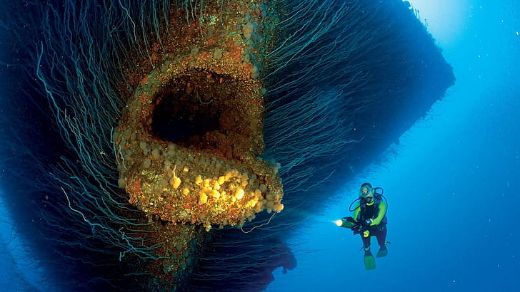 Bikini Atoll, coral, shipwreck, divers, torchlight, lights, HD wallpaper