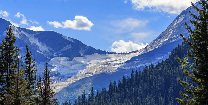 forest and mountains under blue sky, Jackson Glacier, Glacier National Park, HD wallpaper