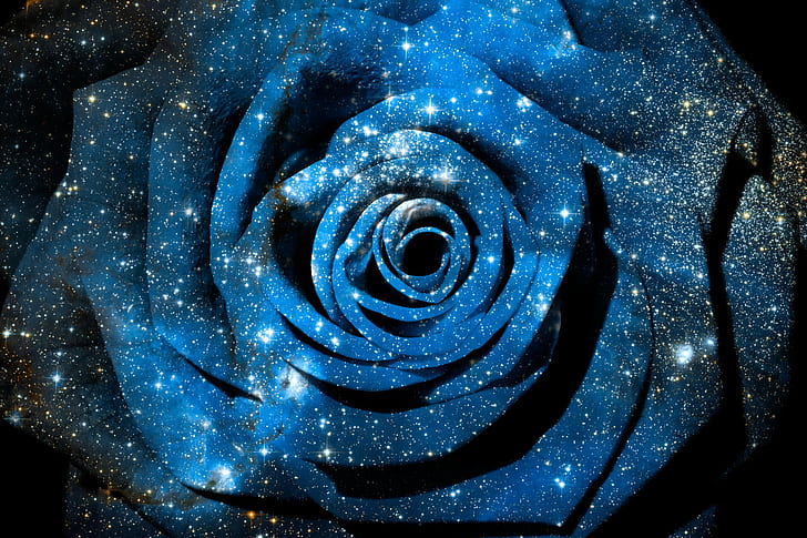 blue and white rose, rose, Cosmic, NGC 346, galaxy, celestial, HD wallpaper