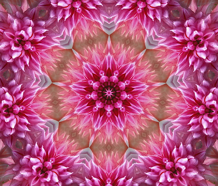 Mandala flower 1080P, 2K, 4K, 5K HD wallpapers free download | Wallpaper  Flare