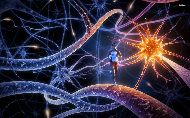 Running On Neurons 2560×1600 Digital Art Wallpaper