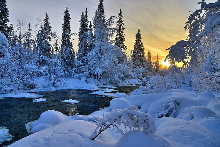 Winter River Nature Trees Landscape HD 1080p, rivers, HD wallpaper