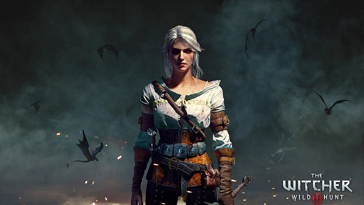 The Witcher Wild Hunt character illustration, The Witcher 3: Wild Hunt, HD wallpaper