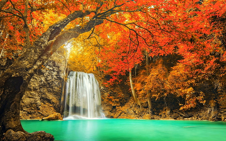 waterfalls surrounded with brown trees, landscape, nature, colorful