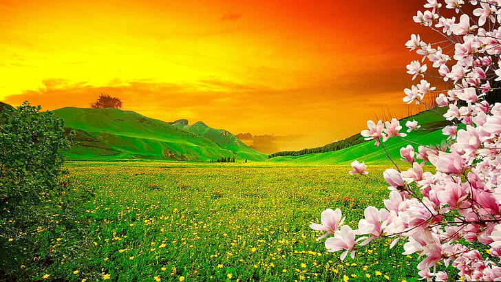 Spring Blooming Trees, Pink Sakura Flowers On Green Meadow With Yellow Flowers, Hills With Grass Green Orange Sunset Sky