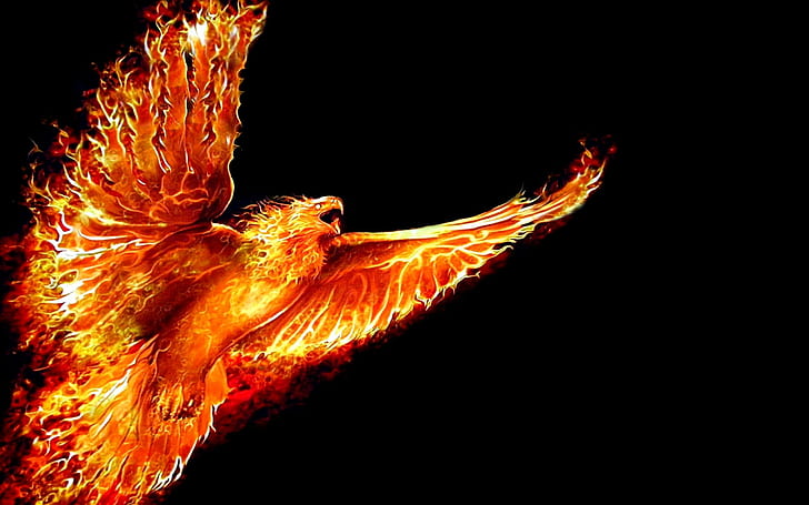 fire phoenix black, HD wallpaper