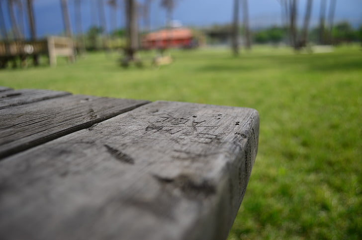 depth of field, wood - material, grass, plant, nature, no people, HD wallpaper
