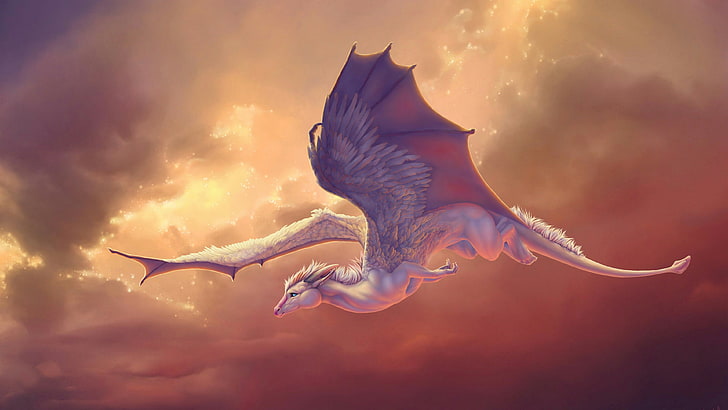 dragon, sky, illustration, mythical creature, wing, artwork, HD wallpaper