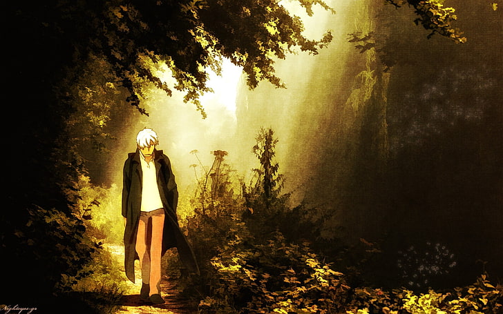 Ginko (Mushishi), tree, plant, one person, lifestyles, forest, HD wallpaper