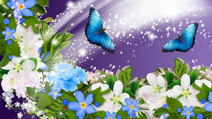 Summer Flower Collage, 2 blue and black butterfiles illustration, HD wallpaper
