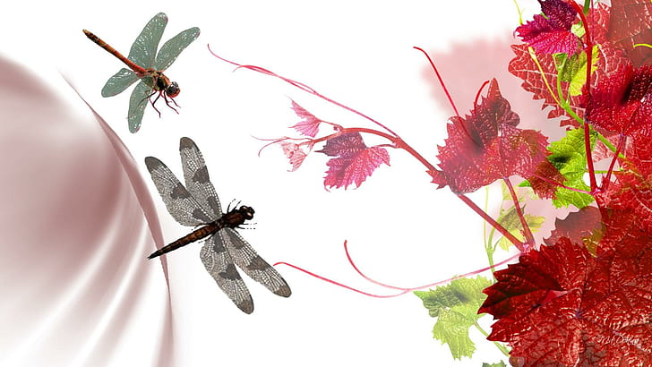 Grape Leaves Dragonflies, winery, subtle, smoke, vineyard, vines, HD wallpaper