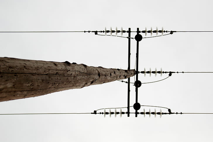 power lines, worm's eye view, overcast, simple background, wood, HD wallpaper