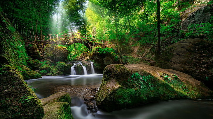 waterfall, schiessentümpel, luxemburg, vegetation, green, nature reserve, HD wallpaper